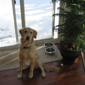 Meet your Posher, Tom